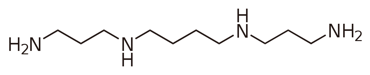 Structure of Spermine